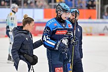 Eishockey, Herren, DEL, Saison 2025-2026, Spiel 44, ERC Ingolstadt - Dresdner Eislöwen, 27.01.2026