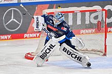 Eishockey, Herren, DEL, Saison 2024-2025, Spieltag 42, ERC Ingolstadt - Kölner Haie, 31.01.2025