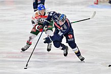 Eishockey, Herren, DEL, Saison 2024-2025, Spieltag 15, ERC Ingolstadt - Augsburger Panther, 03.11.2024