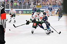 Eishockey, Mens, CHL, Season 2023-2024, ERC Ingolstadt - Färjestad Karlstad, 02.09.2023