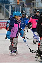 Eishockey, Herren, DEL, Saison 2024-2025, ERC Ingolstadt - Kids On Ice Day, 11.01.2025