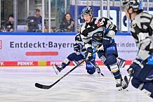 Eishockey, Herren, DEL, Saison 2024-2025, Spieltag 45, ERC Ingolstadt - Iserlohn Roosters, 16.02.2025