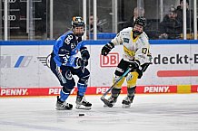 Eishockey, Frauen, DFEL, Saison 2023-2024, ERC Ingolstadt - Mad Dogs Mannheim, 18.02.2024