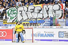 ERC Ingolstadt vs Krefeld Pinguine, Eishockey, DEL, Deutsche Eishockey Liga, Spieltag 15, 22.10.2017