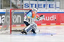 Eishockey, Frauen, DFEL, Saison 2024-2025, ERC Ingolstadt - ECDC Memmingen Indians, 16.11.2024
