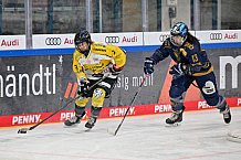 Eishockey, Frauen, DFEL, Saison 2022-2023, ERC Ingolstadt - Mad Dogs Mannheim, 19.11.2022