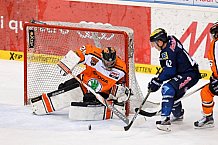 ERC Ingolstadt  - Grizzlys Wolfsburg, Eishockey, DEL, Deutsche Eishockey Liga, Spieltag 42, 31.01.2016