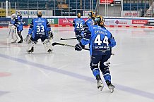 Eishockey, Frauen, DFEL, Saison 2023-2024, ERC Ingolstadt - ECDC Memmingen Indians, 07.10.2023