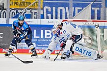 Eishockey, Herren, DEL, Saison 2025-2026, Spiel 14, ERC Ingolstadt - Adler Mannheim, 26.10.2025