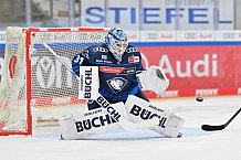 Eishockey, Herren, DEL, Saison 2024-2025, Spieltag 12, ERC Ingolstadt - Eisbären Berlin, 24.10.2024