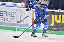 ERC Ingolstadt vs Schwenninger Wild Wings, Eishockey, DEL, Deutsche Eishockey Liga, Spieltag 25, 26.11.2017