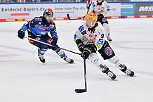 Eishockey, Herren, DEL, Saison 2023-2024, Spieltag 45, ERC Ingolstadt - Fischtown Pinguins, 27.02.2024