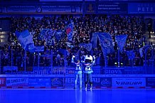 Eishockey, Herren, DEL, Saison 2024-2025, Spieltag 36, ERC Ingolstadt - Kölner Haie, 12.01.2025