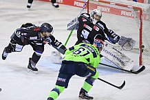 Eishockey, Herren, DEL, Saison 2020-2021, Straubing Tigers - ERC Ingolstadt, 31.01.2021