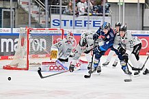 Eishockey, Herren, DEL, Saison 2024-2025, Spieltag 36, ERC Ingolstadt - Kölner Haie, 12.01.2025