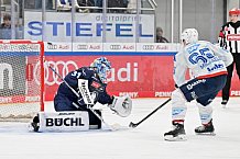Eishockey, Herren, DEL, Saison 2024-2025, Spieltag 17, ERC Ingolstadt - Adler Mannheim, 17.11.2024