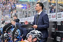 Eishockey, Herren, DEL, Saison 2024-2025, Spieltag 36, ERC Ingolstadt - Kölner Haie, 12.01.2025