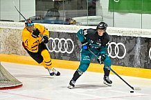Eishockey, Herren, DEL, Saison 2026-2027, ERC Ingolstadt - HC Verva Litvinov - Steinbach Black Wings Linz, 22.08.2026
