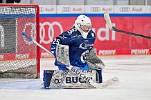 Eishockey, Frauen, DFEL, Saison 2024-2025, ERC Ingolstadt - EC Bergkamener Bären, 05.01.2025