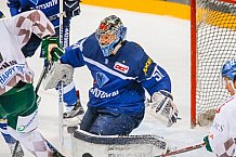 ERC Ingolstadt vs Augsburger Panther, Eishockey, DEL, Deutsche Eishockey Liga, Spieltag 21, 23.11.2016