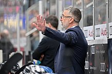 Eishockey, Herren, DEL, Saison 2024-2025, Spieltag 42, ERC Ingolstadt - Kölner Haie, 31.01.2025