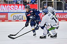 Eishockey, Herren, DEL, Saison 2024-2025, Spieltag 49, ERC Ingolstadt - Straubing Tigers, 28.02.2025