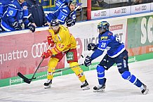 ERC Ingolstadt vs Duesseldorfer EG, Eishockey, DEL, Deutsche Eishockey Liga, Spieltag 22, 19.11.2017