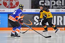 ERC Ingolstadt Legenden vs Sternstunden-Mannschaft, 23.02.2020