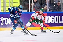 Hockey, Mens, CHL, Season 2025-2026, Quarter-Finals, ERC Ingolstadt - Frölunda Gothenburg, 02.12.2025