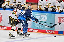 Eishockey, Frauen, DFEL, Vorbereitung, Saison 202-2025, ERC Ingolstadt - St. Pölten, 07.09.2024