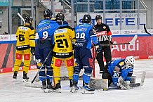 Eishockey, U20, DNL, Saison 2024-2025, ERC Ingolstadt - Krefelder EV 81, 01.03.2025