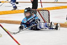 Eishockey, Herren, DEL, Saison 2022-2023, ERC Ingolstadt - Kids On Ice Day, 14.01.2023