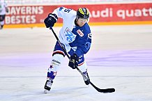 ERC Ingolstadt vs Adler Mannheim, Eishockey, DEL, Deutsche Eishockey Liga, Spieltag 43, 29.01.2017