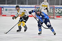 Eishockey, Frauen, DFEL, Saison 2023-2024, ERC Ingolstadt - Mad Dogs Mannheim, 18.02.2024