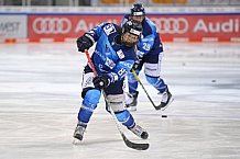 Eishockey, Frauen, DFEL, Saison 2020-2021, ERC Ingolstadt - Mad Dogs Mannheim, 30.01.2021