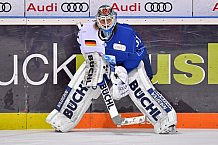 ERC Ingolstadt vs Schwenninger Wild Wings, DEL, Deutsche Eishockey Liga, Spieltag 48, 19.02.2019