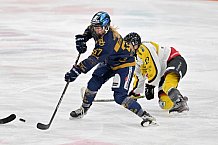 Eishockey, Frauen, DFEL, Saison 2022-2023, ERC Ingolstadt - Mad Dogs Mannheim, 20.11.2022