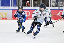 Eishockey, Herren, DEL, Saison 2024-2025, Spieltag 26, ERC Ingolstadt - Iserlohn Roosters, 15.12.2024