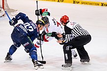 ERC Ingolstadt - Koelner Haie, Eishockey, DEL, Deutsche Eishockey Liga, Spieltag 44, 07.02.2016