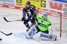 Eishockey, Herren, DEL, Saison 2020-2021, Straubing Tigers - ERC Ingolstadt, 31.01.2021