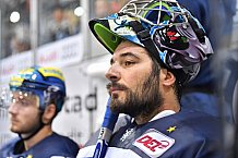ERC Ingolstadt- Grizzlys Wolfsburg, Eishockey, DEL, Deutsche Eishockey Liga, Vorb., 13.08.2017