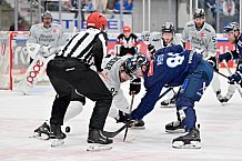 Eishockey, Herren, DEL, Saison 2024-2025, Playoffs Halbfinale, Spiel 5, ERC Ingolstadt - Kölner Haie, 11.04.2025