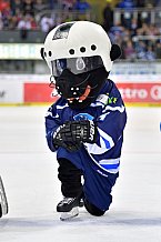 ERC Ingolstadt vs Koelner Haie, DEL, Deutsche Eishockey Liga, Spieltag 41, 20.01.2019