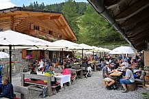 Eishockey, Herren, DEL, Saison 2023-2024, Vinschgau Cup, ERC Ingolstadt – Audi Almerlebnis, 26.08.2023