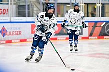 Eishockey, Frauen, DFEL, Saison 2025-2026, ERC Ingolstadt - Eisbären Berlin, 18.01.2026