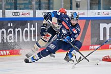 Eishockey, Herren, DEL, Saison 2024-2025, Spieltag 28, ERC Ingolstadt - Schwenninger Wild Wings, 20.12.2024