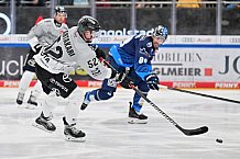 Eishockey, Herren, DEL, Saison 2024-2025, Spieltag 42, ERC Ingolstadt - Kölner Haie, 31.01.2025