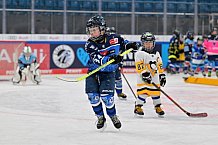 Eishockey, Herren, DEL, Saison 2023-2024, ERC Ingolstadt - Kids on Ice Day, 18.11.2023