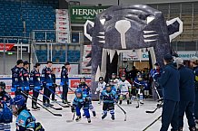 Eishockey, Herren, DEL, Saison 2024-2025, ERC Ingolstadt - Kids On Ice Day, 21.09.2024