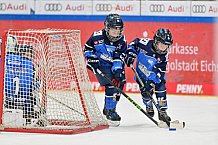Eishockey, Herren, DEL, Saison 2024-2025, Spieltag 8, ERC Ingolstadt - Grizzlys Wolfsburg, 11.10.2024